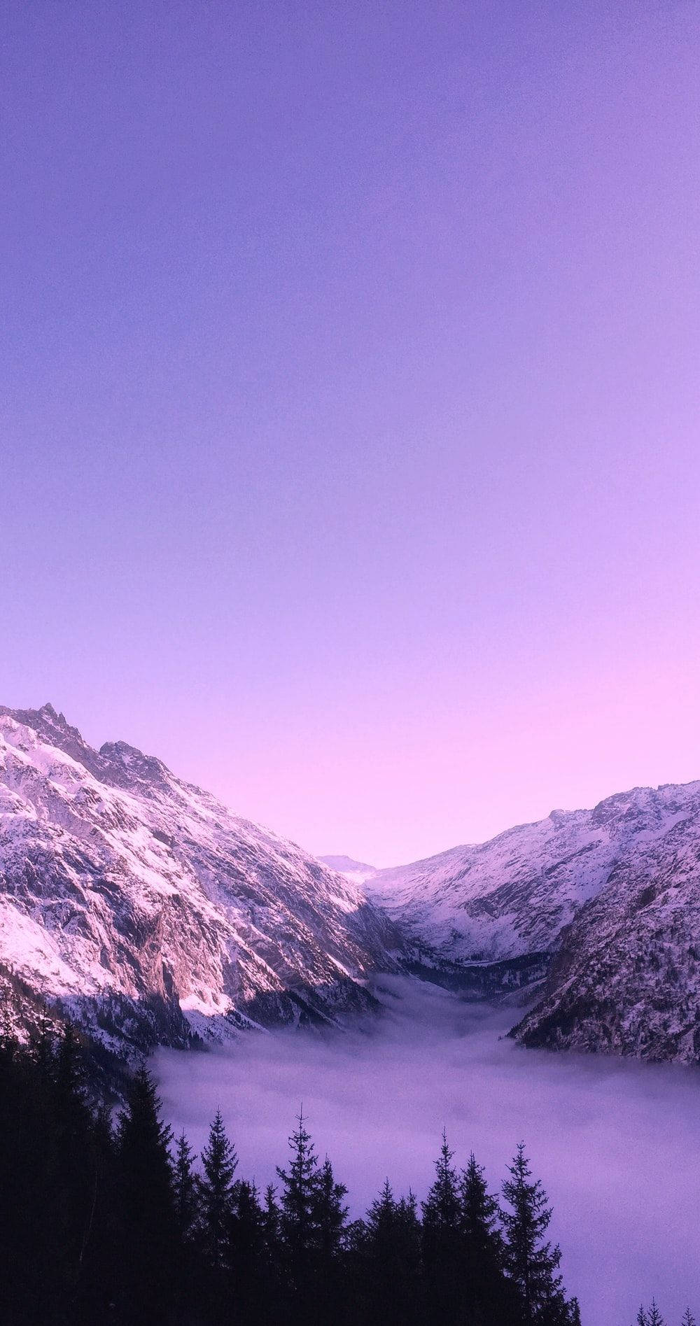 積雪的山峰在暮色中從霧氣籠罩的山谷上升起。