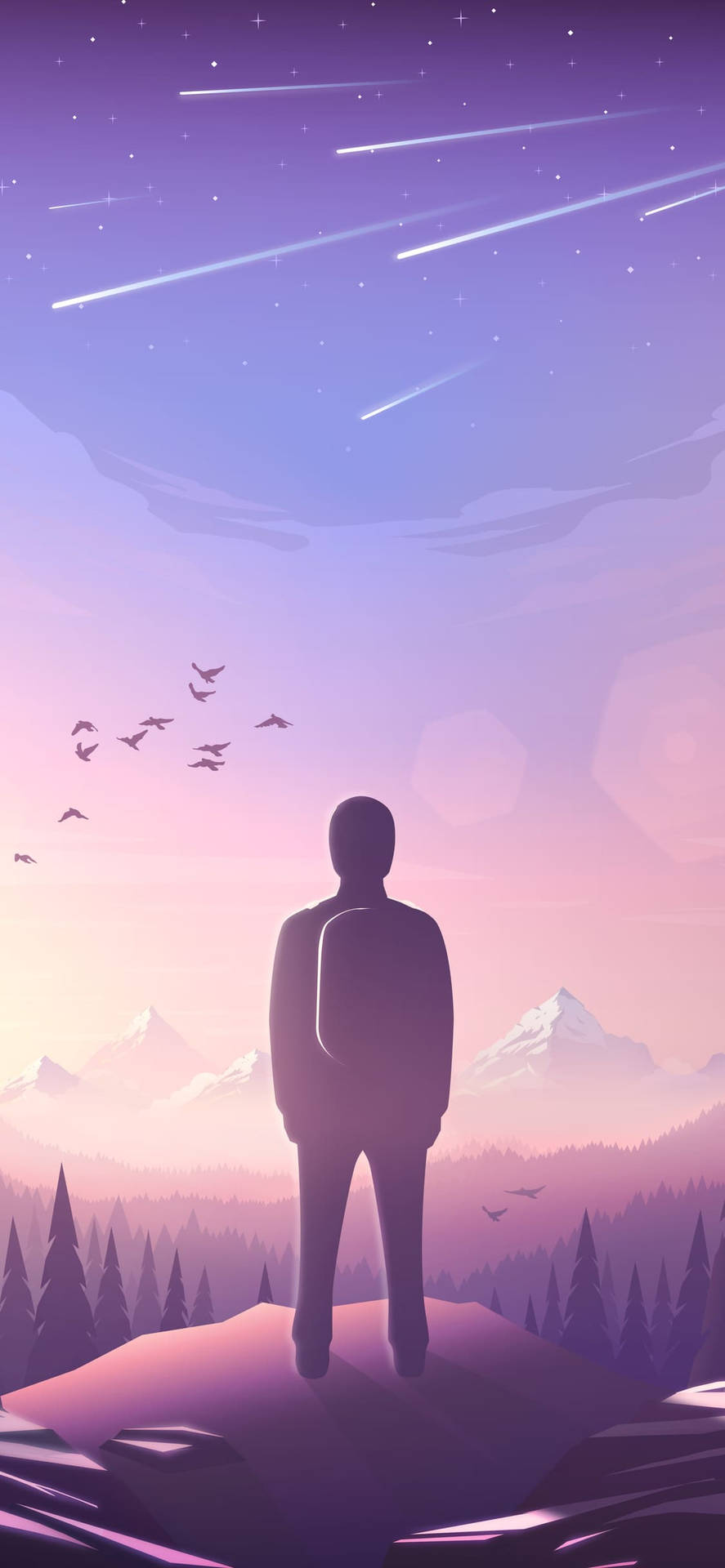 一個人在山上觀看流星和鳥兒飛翔的剪影。