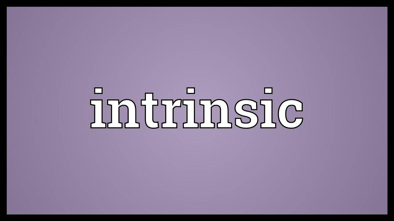 薰衣草色背景上以白色文字顯示「intrinsic」。