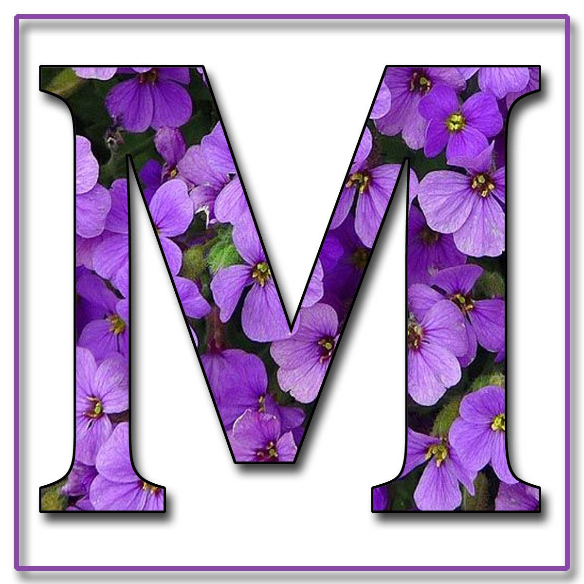 紫色花朵字母M 壁紙 — 一個粗體字母 M，裡面充滿了鮮豔的紫色花朵和綠色莖，背景為白色。