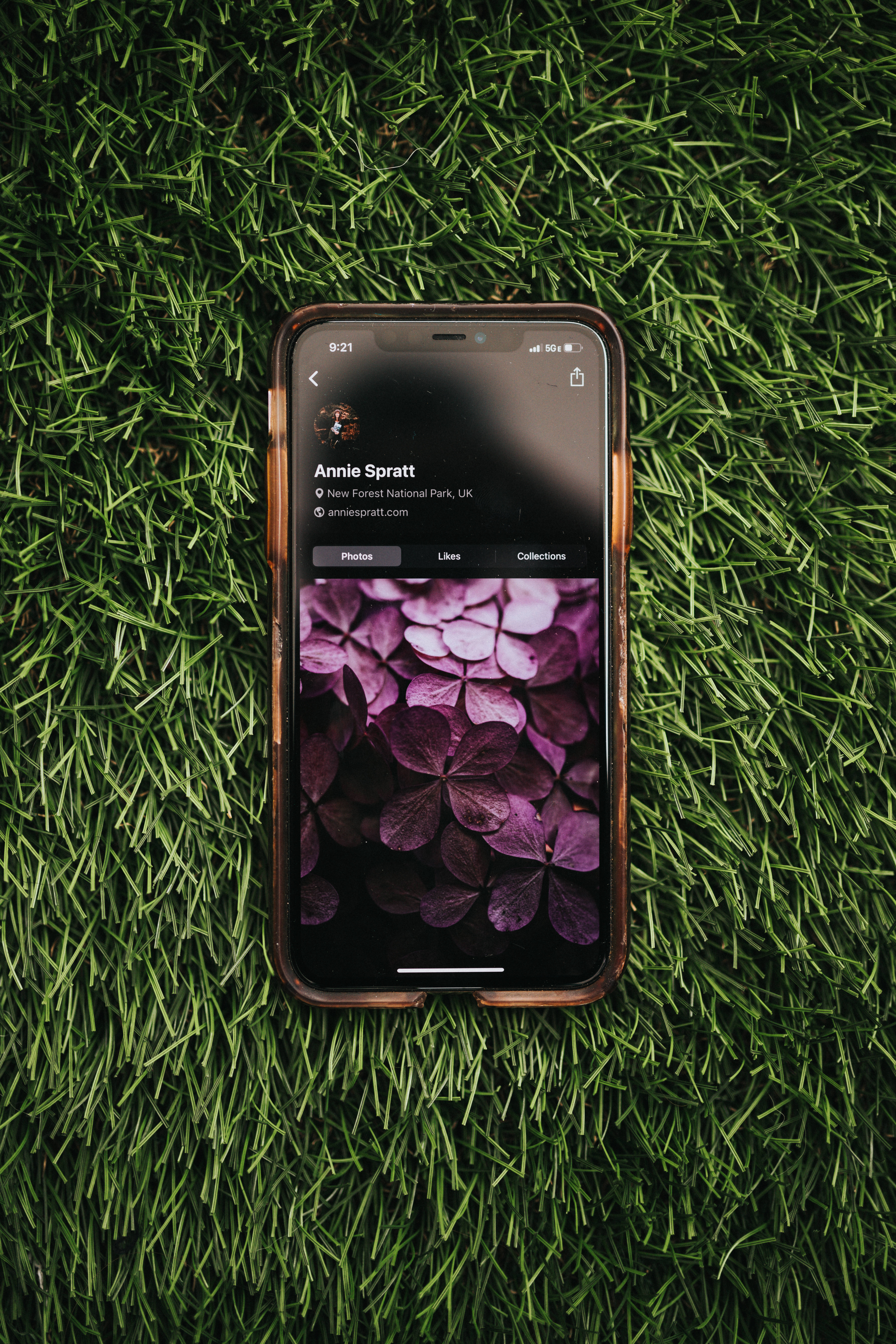 紫色花朵於iOS iPhone 壁紙 — 一部帶有紫色繡球花桌布的智能手機，以俯視角度放置在鮮綠色草地上。