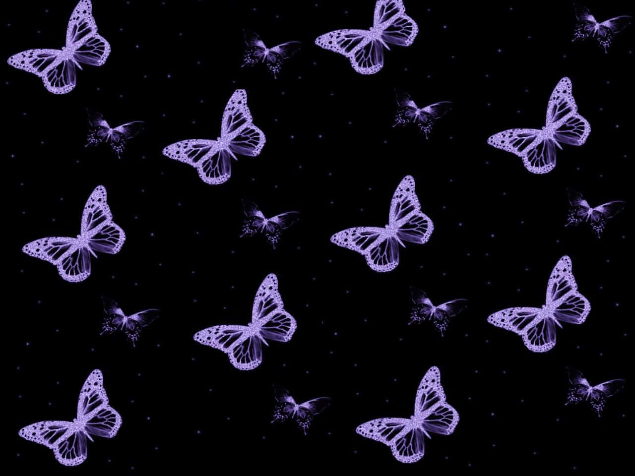 紫色發光的蝴蝶在黑暗的夜空中穿梭於星星之間。