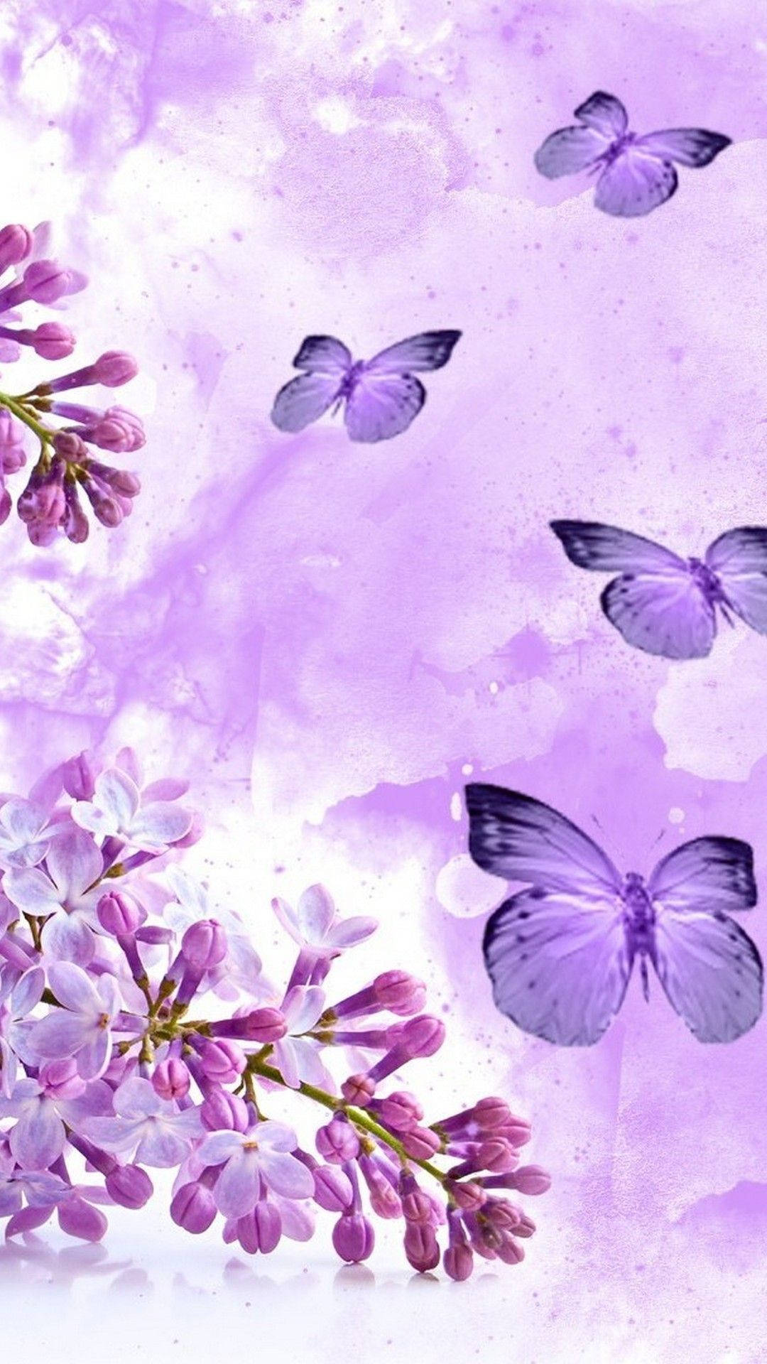 紫色蝴蝶可愛安卓壁紙 壁紙 — 紫色蝴蝶在盛開的丁香花周圍飛舞，背景是柔和的水彩紫色。