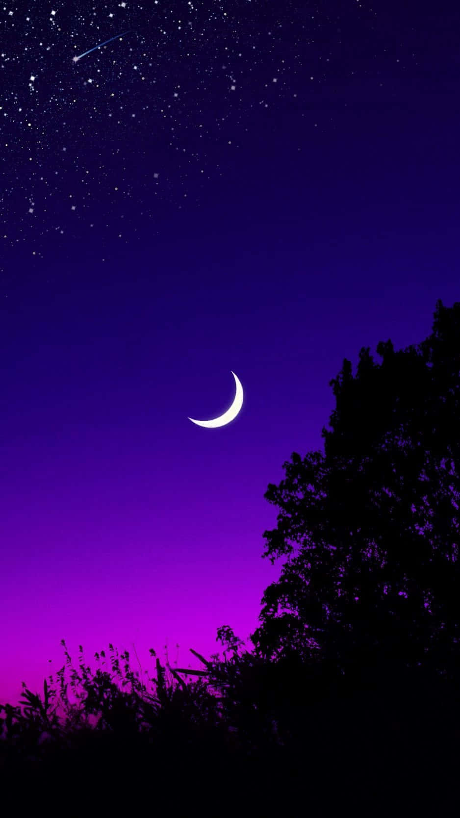 紫藍夜空與月相圖 壁紙 — 一彎新月在點綴著星星和流星、生動的紫色暮色天空中，在剪影樹木上方發光。