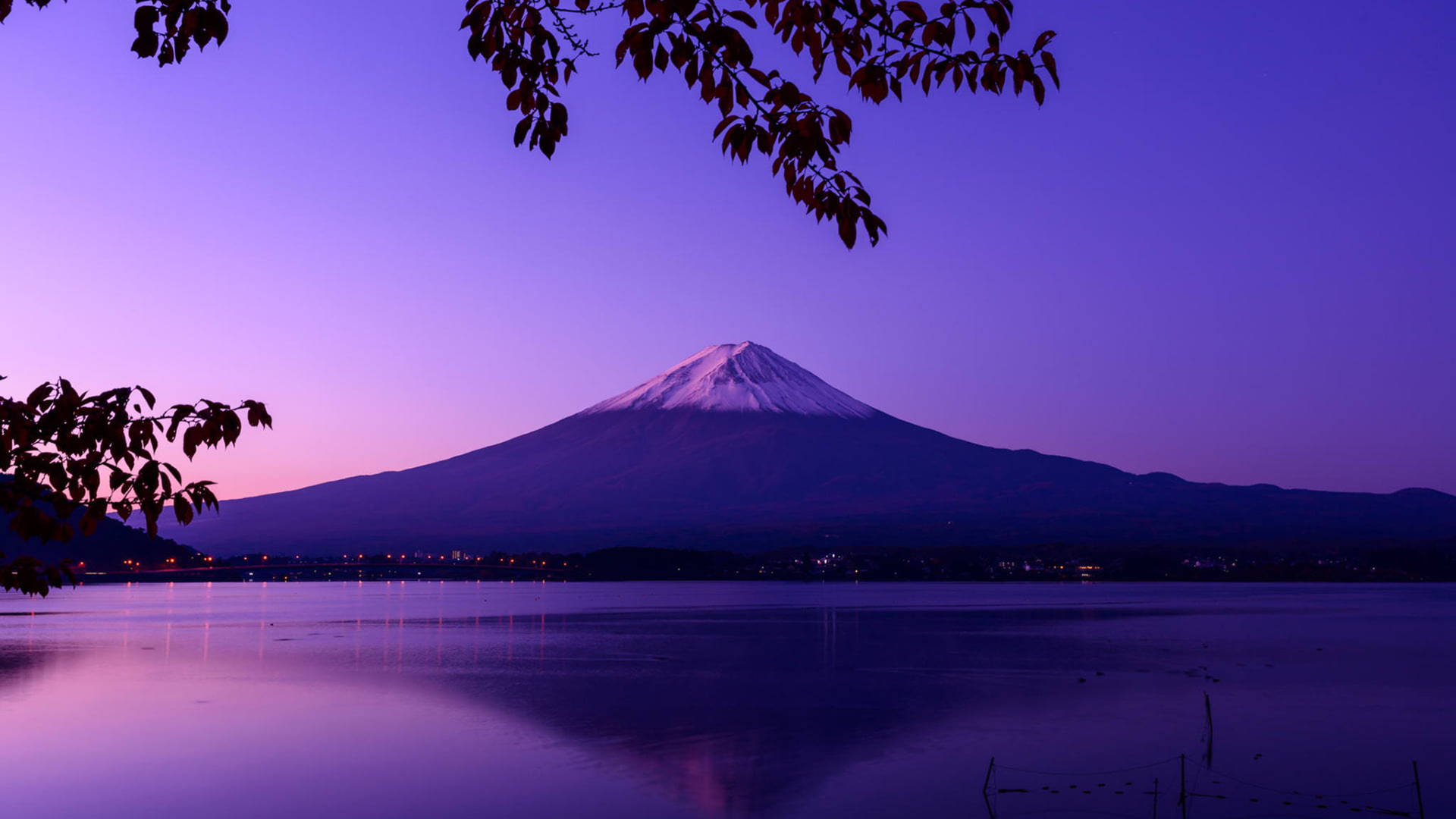 富士山在暮色中倒映在湖中，紫色天空和前景的樹枝