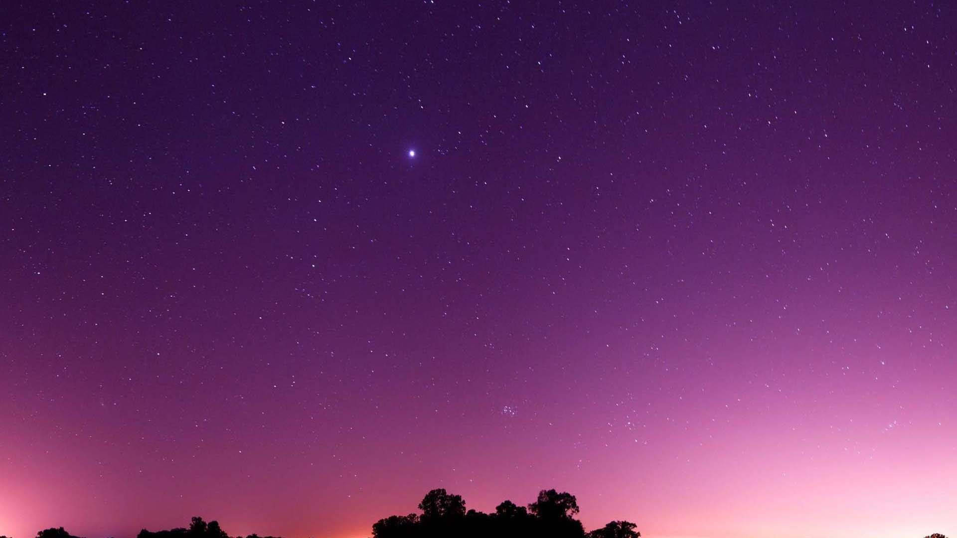 紫色同粉紅色暮色天空，有星星同樹木剪影。