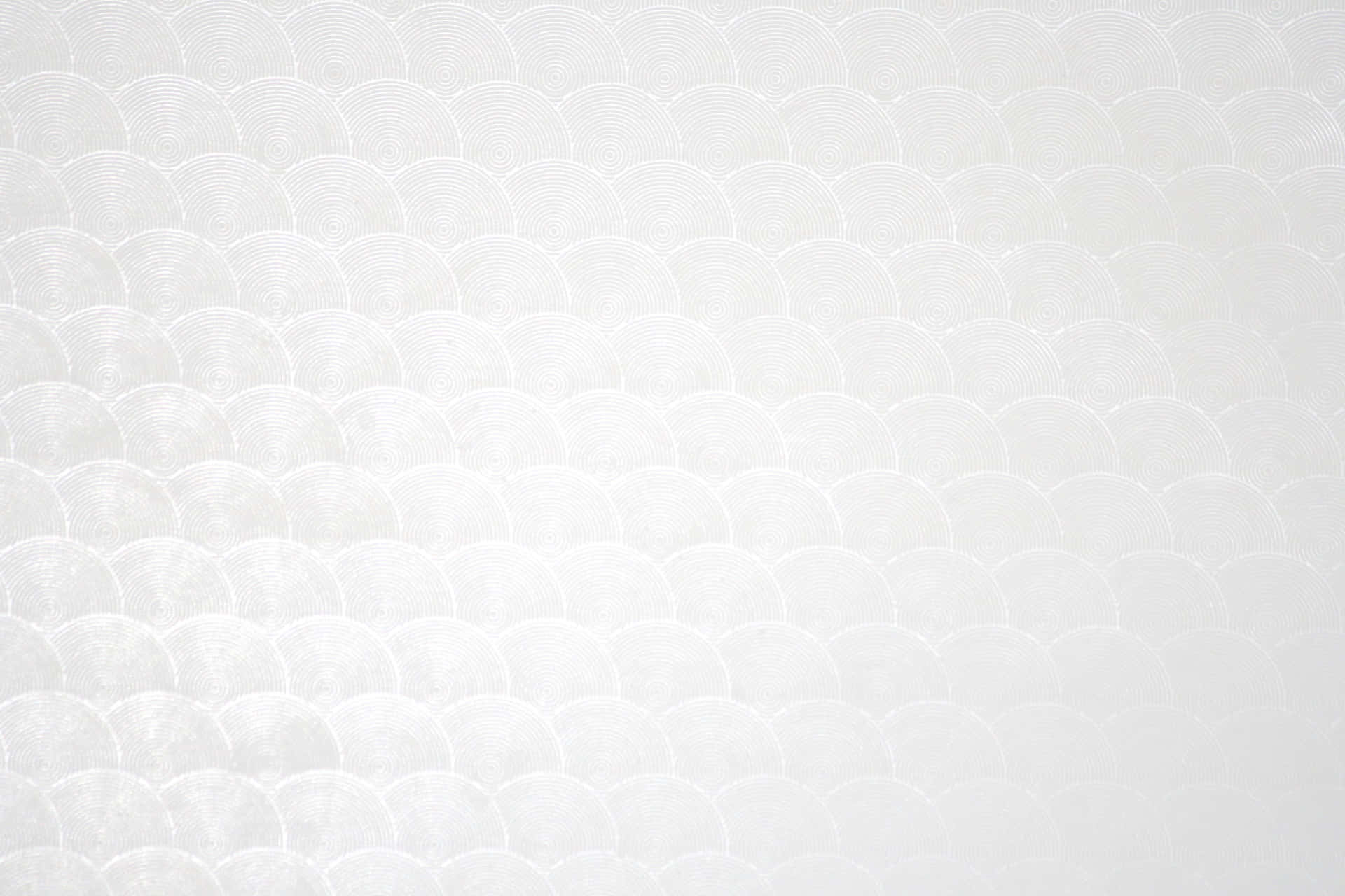 白色紋理牆紙，帶有重複的扇貝形圓形圖案。 — 美學白色動態圖 壁紙