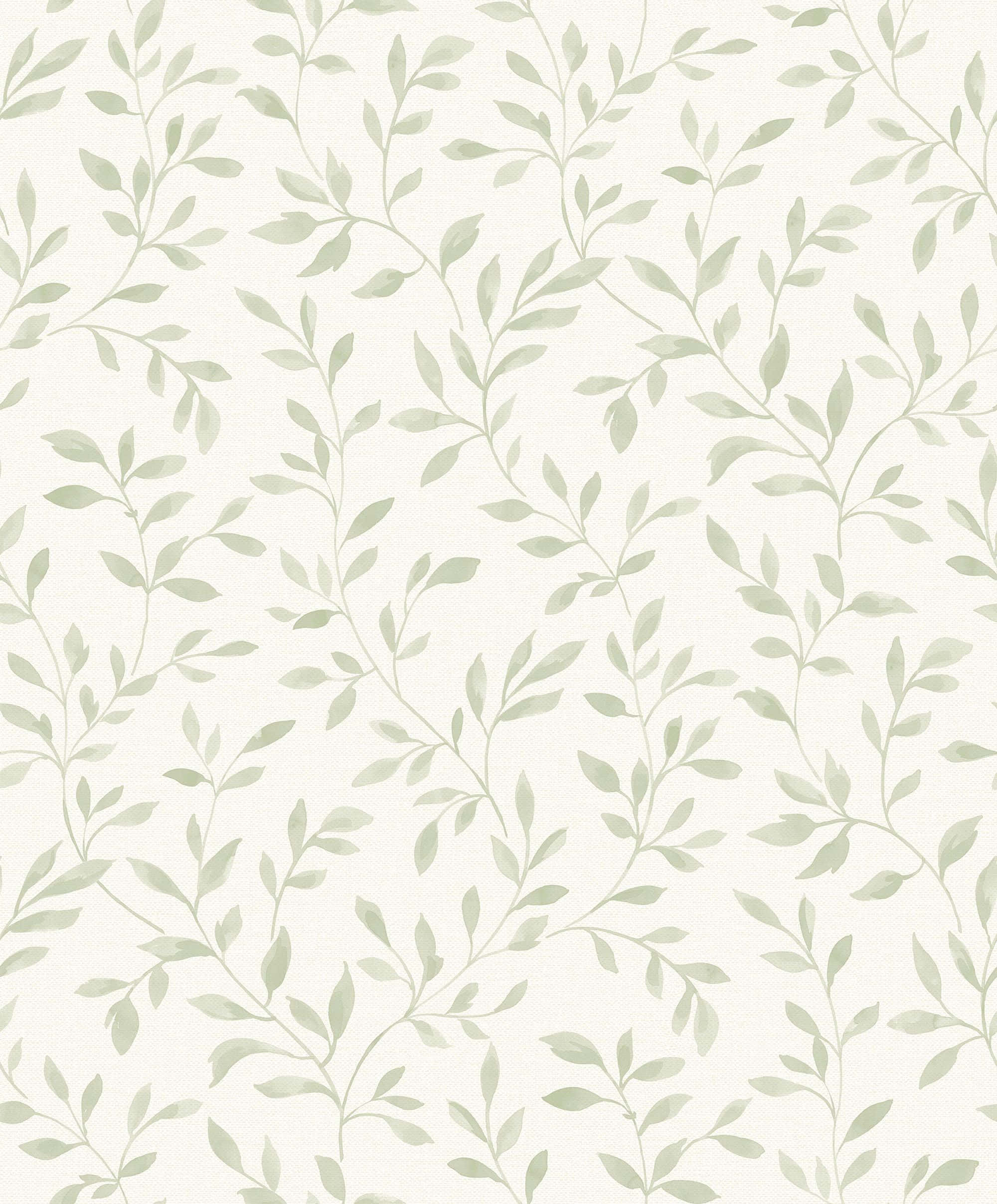sage green aesthetic 桌布 壁紙 — 細膩的鼠尾草綠色藤蔓和葉子在柔軟的米白色紋理背景上優雅地彎曲。