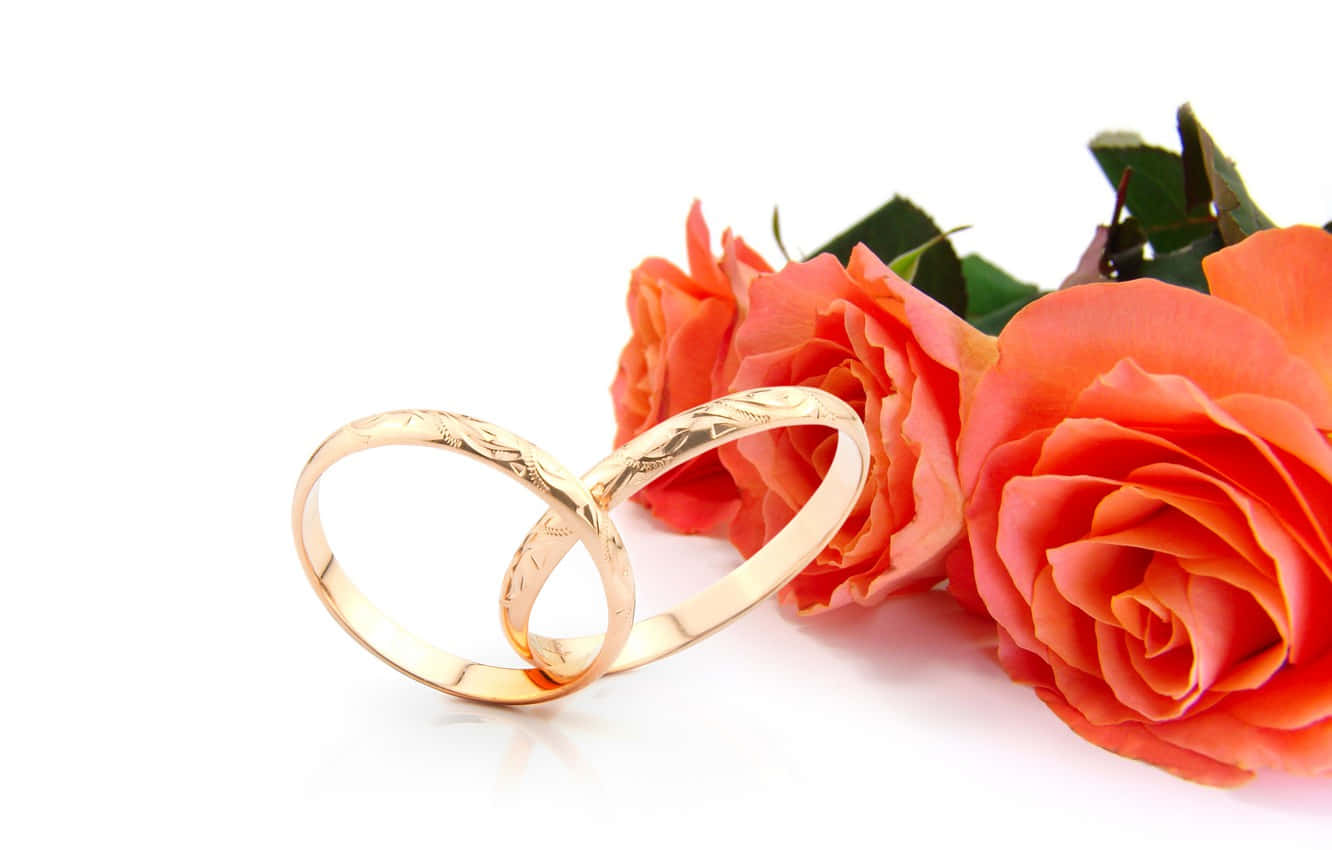 兩枚金色結婚戒指交織在一起，旁邊有橙色玫瑰，背景白色。