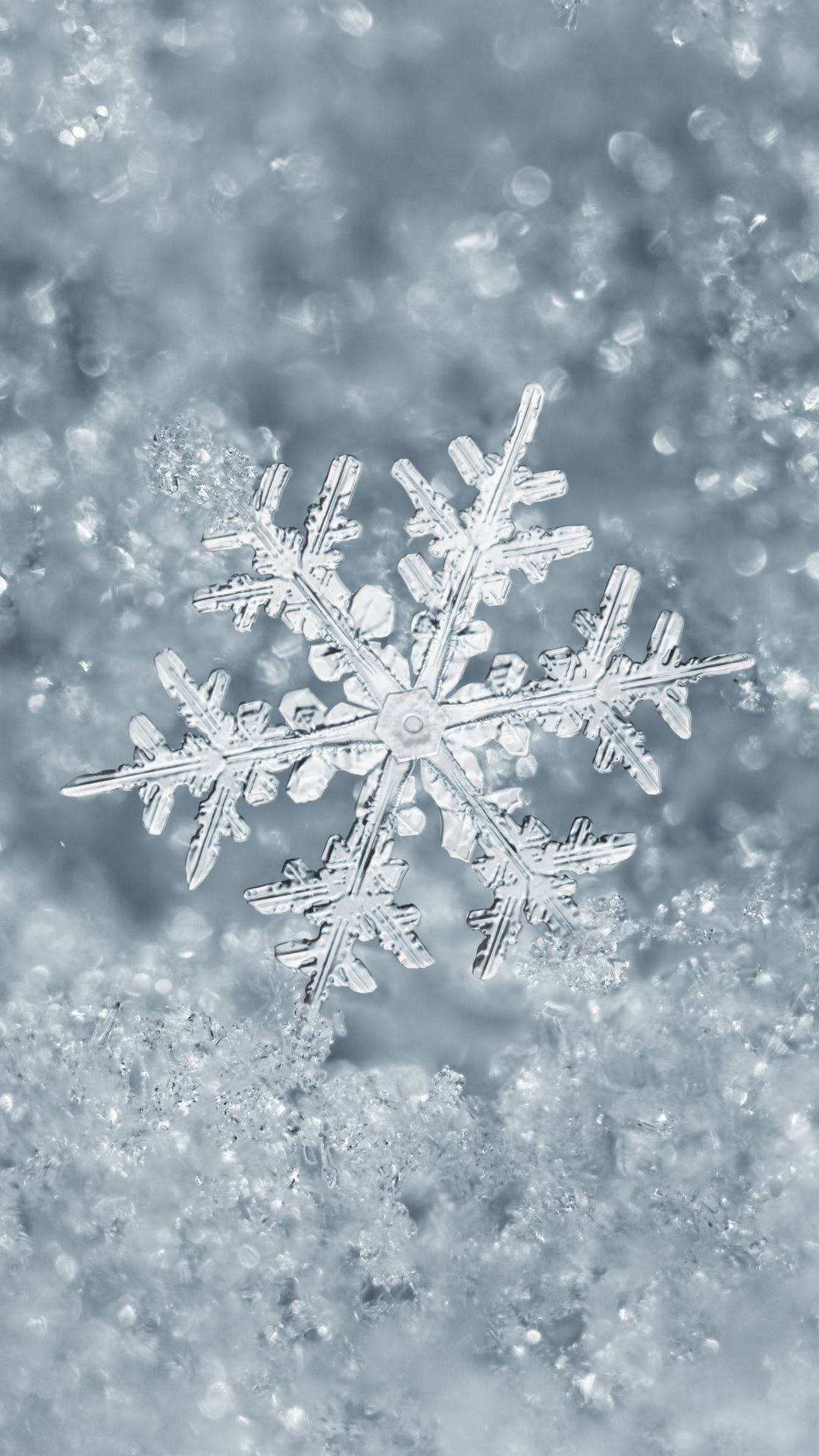 藍光下雪地上詳細的雪花