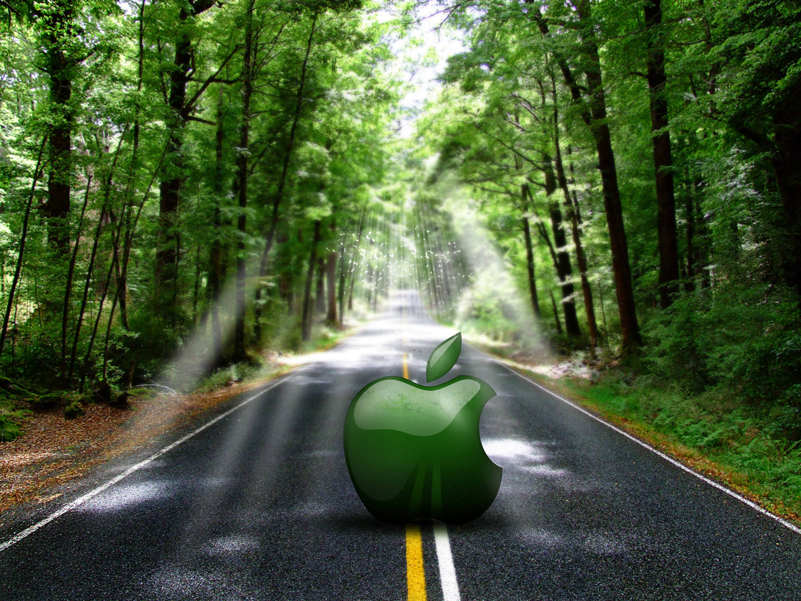 森林道路上的綠色蘋果標誌，陽光透過樹木照射。