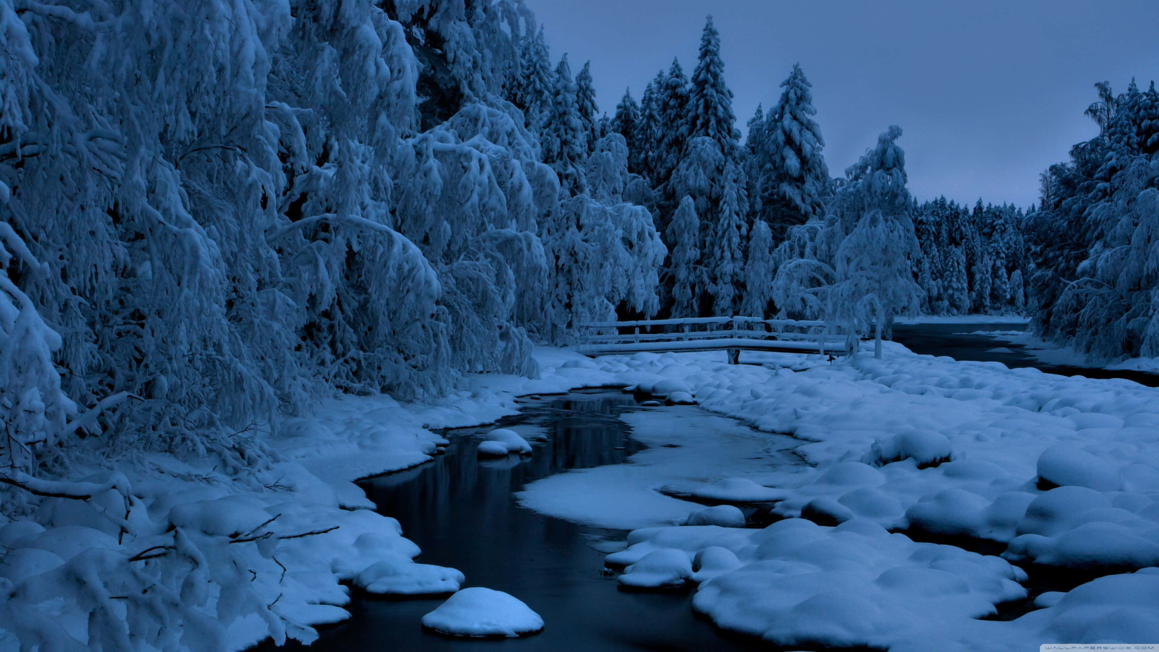 積雪的樹木和結冰的河流，暮色中的木橋。