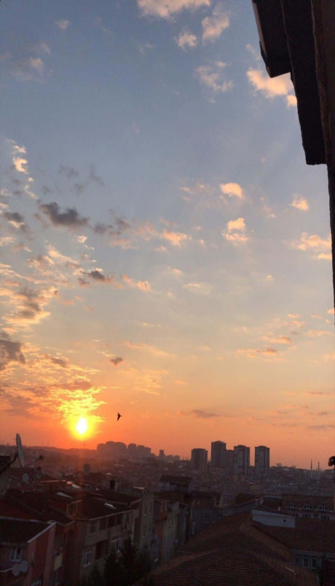 夕陽映照城市屋頂，天空呈現橙色和粉紅色，並有一隻鳥在飛翔