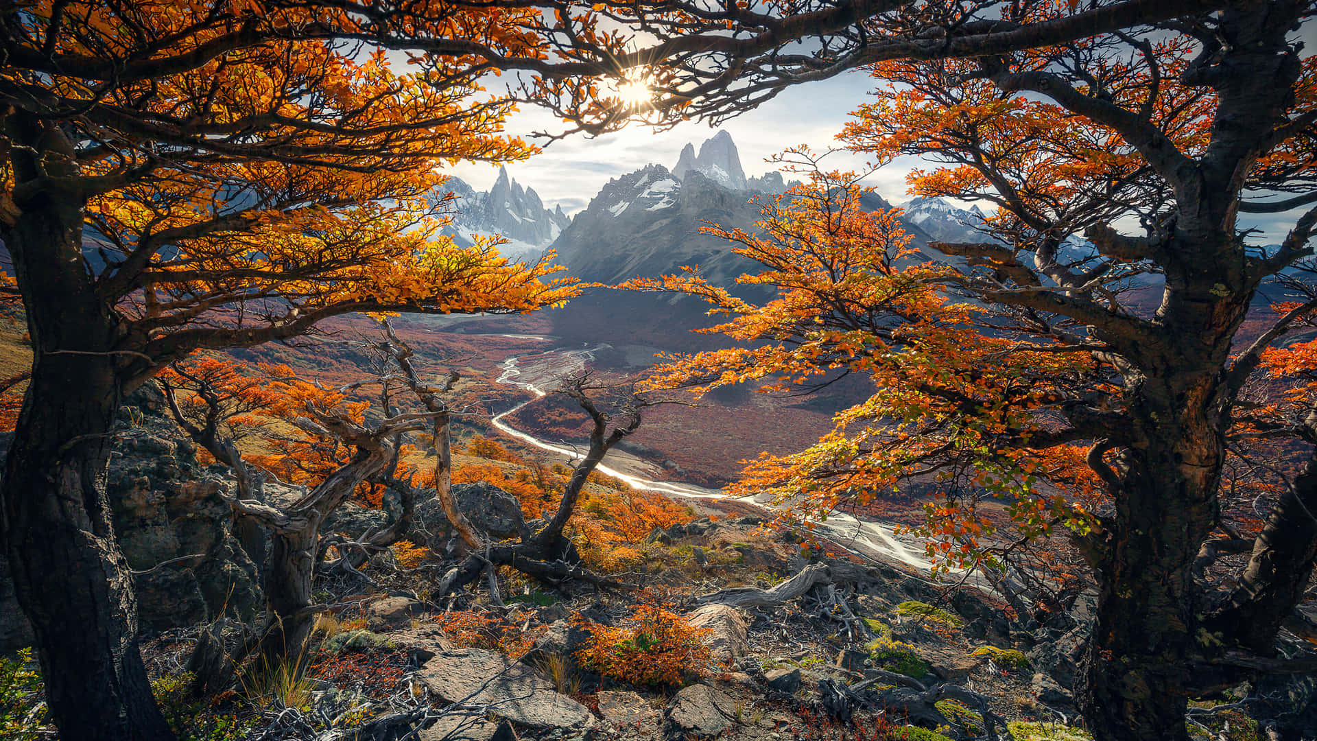 秋樹環繞著一條山路，有白雪覆蓋的山峰和夕陽。