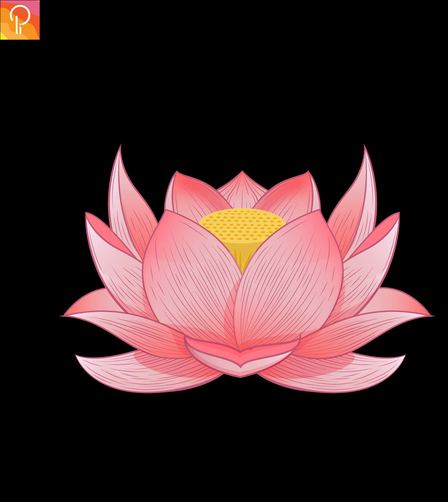 絢麗粉紅蓮花插畫 壁紙 — 一朵精緻的粉紅色蓮花，帶有黃色花蕊，在純黑色背景下綻放。