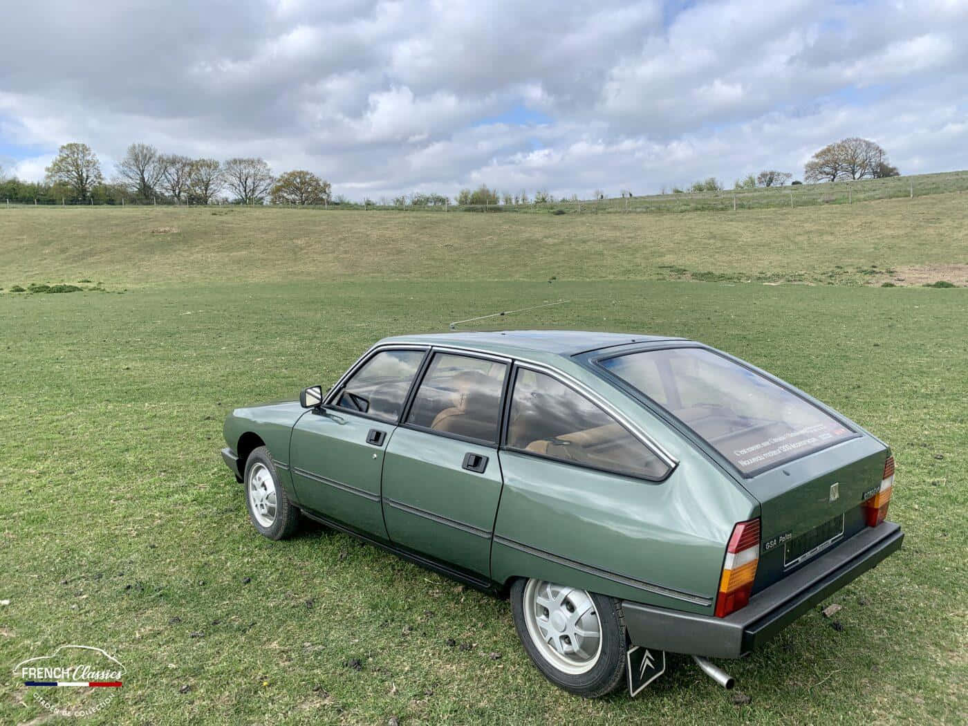 經典 Citroën GS 車款田間停泊 壁紙 — 一輛復古綠色雪鐵龍CX停泊在草地上，天空多雲，遠處有樹木。