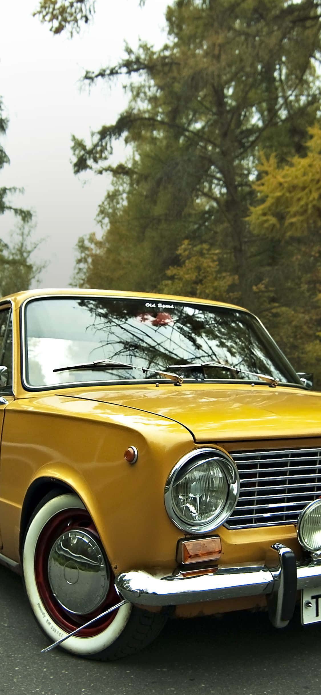 經典 Murat 124 車型 iPhone 壁紙 — 一輛復古黃色車配白色側壁輪胎，停泊在霧氣瀰漫、四周環繞秋樹的道路上。