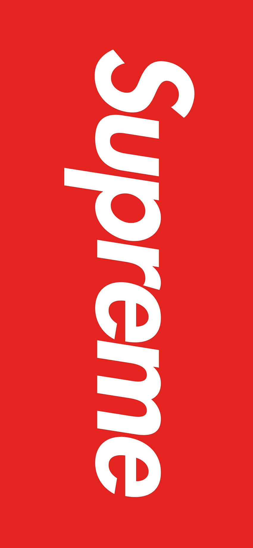Supreme 品牌標誌以白色文字顯示在紅色背景上