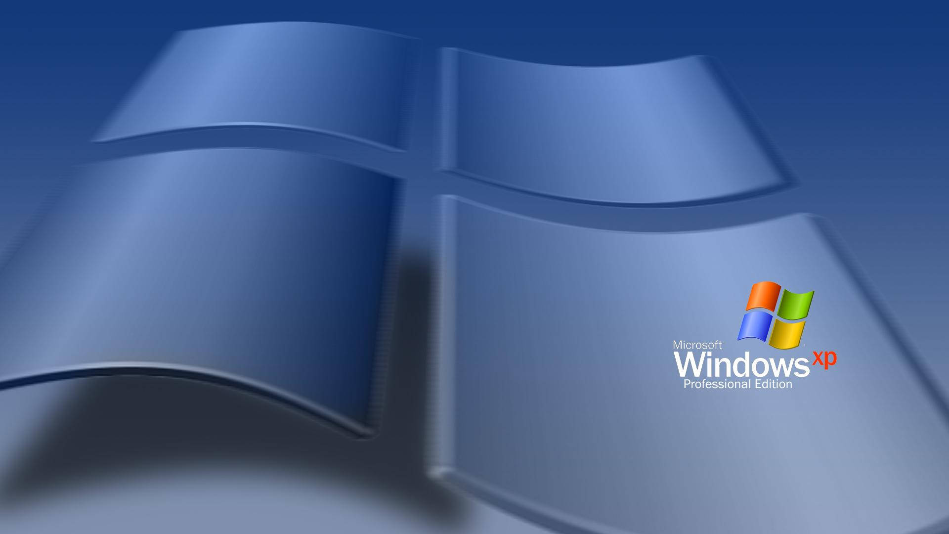 帶有藍色波浪設計的Windows XP Professional Edition標誌。