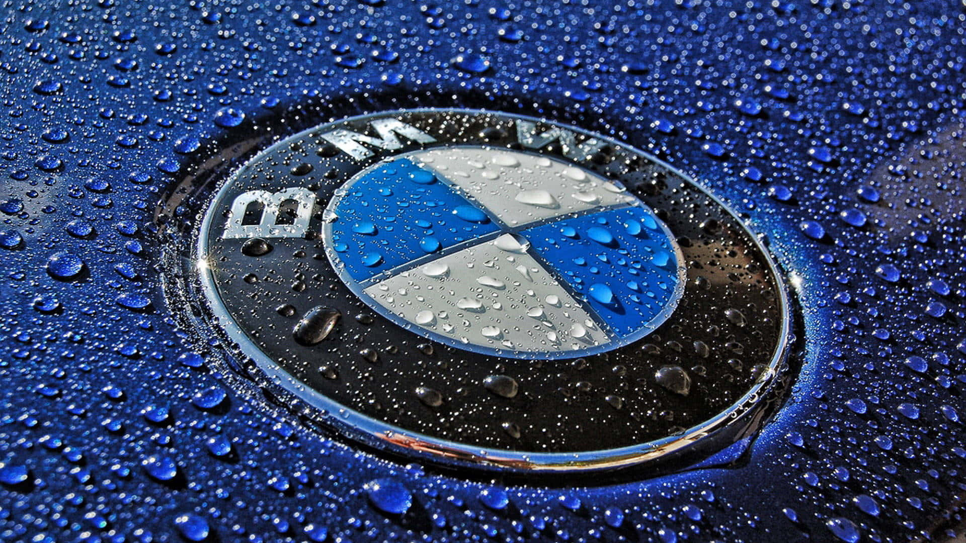 經典BMW標誌 壁紙 — 特寫：藍色汽車引擎蓋上的BMW標誌，在明亮光線下閃爍著雨滴。