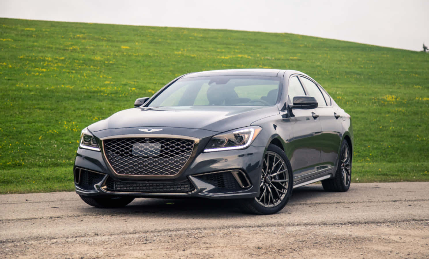 深灰色 Genesis G70 轎車停在碎石上，靠近有黃色花朵的草坡。