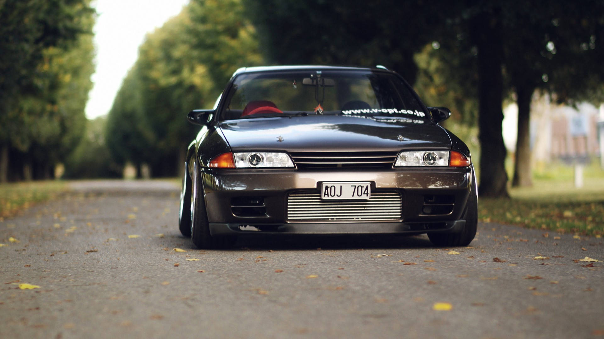 經典之美：古董黑色Skyline汽車 壁紙 — 一輛時尚的黑色日產Skyline GT-R停泊在樹蔭大道上，落葉鋪滿路面，沐浴在柔和秋光中。