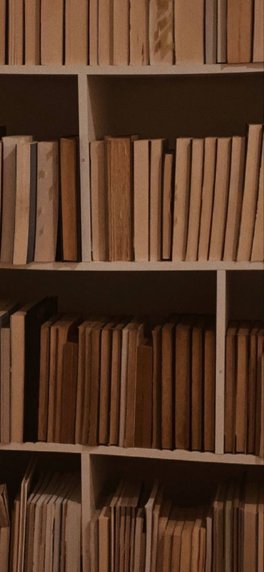 經典書籍書架 壁紙 — 溫暖的木書架，在柔和環境燈光下放滿一排排相同的米色書籍。