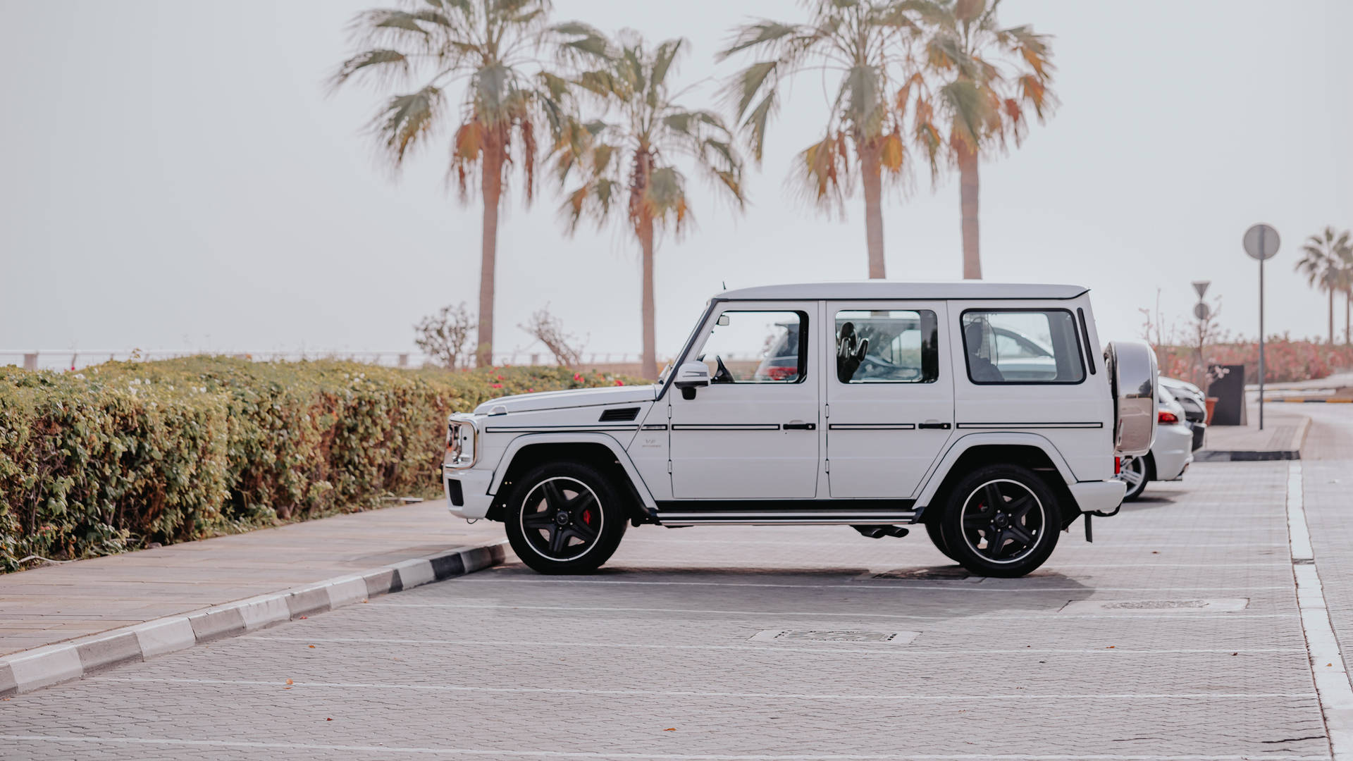 白色 Mercedes G-Wagen 停泊在鋪砌道路上的棕櫚樹旁。