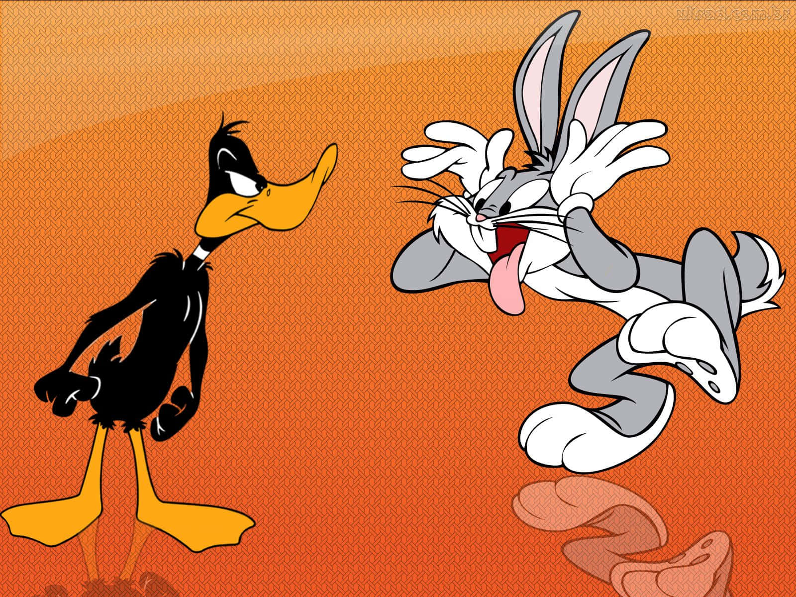 經典樂一通卡通：兔八哥、達菲鴨與眾多角色 壁紙 — Daffy Duck 對住喺有紋理嘅橙色背景上掙扎嘅 Bugs Bunny 露出奸笑。