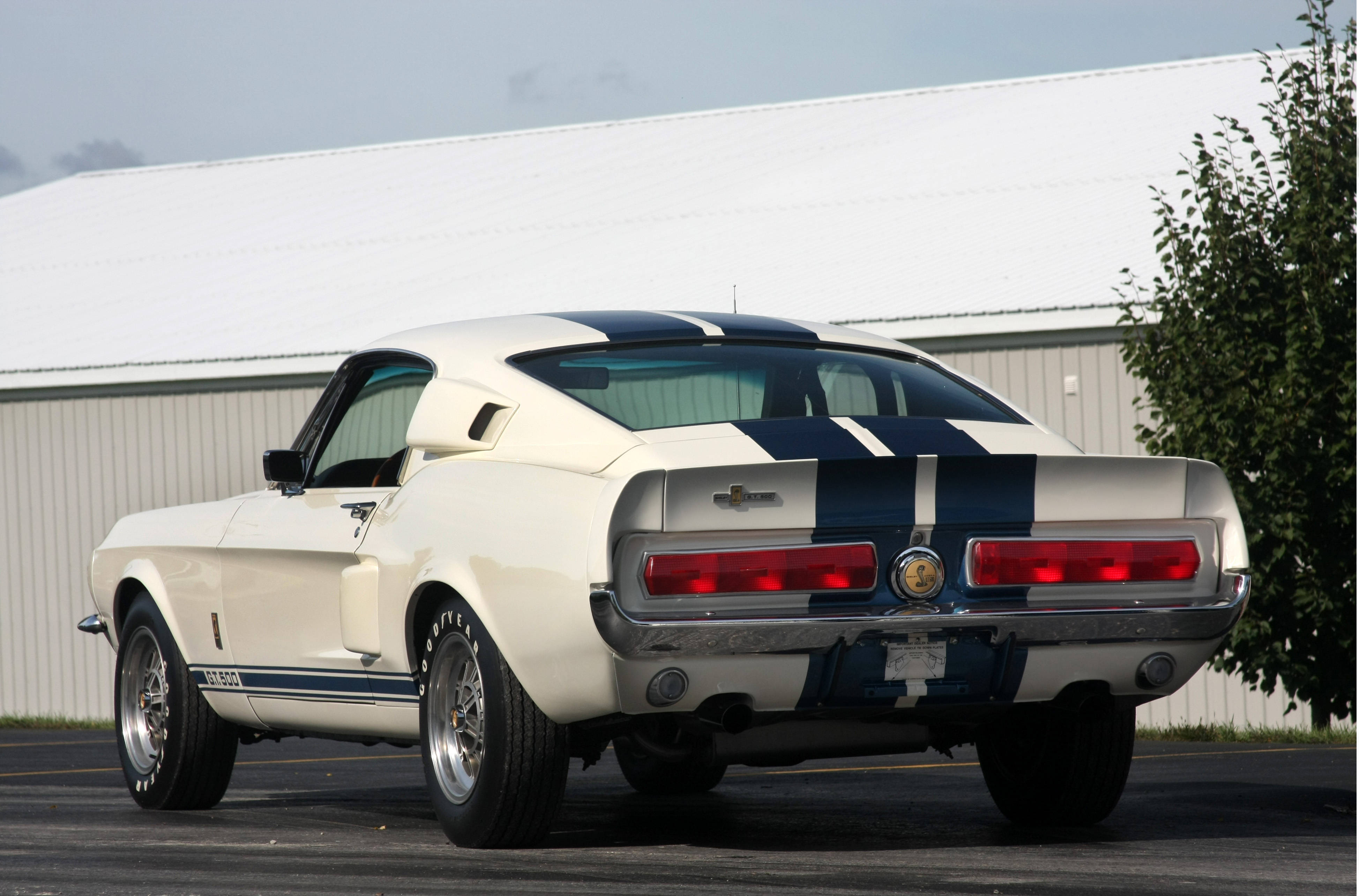 經典款雪佛蘭iPhone 壁紙 — 一輛純白色的1967年Shelby GT500 Mustang，帶有醒目的藍色賽車條紋，停在晴朗天空下的戶外。