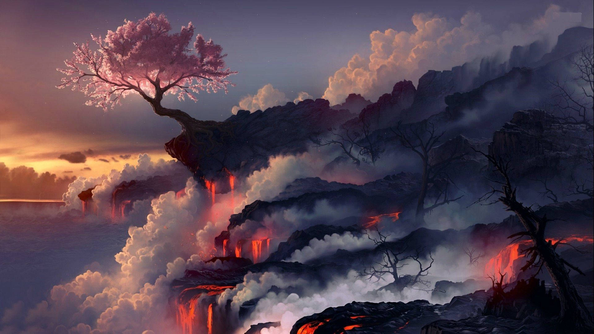 經典火山熔岩 壁紙 — 一棵孤獨的櫻花樹在火山懸崖頂上頑強綻放，熔岩在日落時分穿過迷霧般的雲層傾瀉而下。