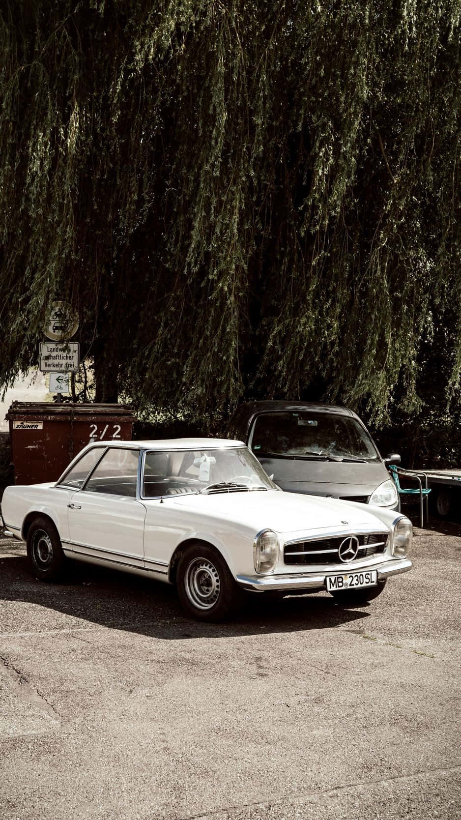 一輛白色 vintage Mercedes-Benz SL 停泊在垂柳下。