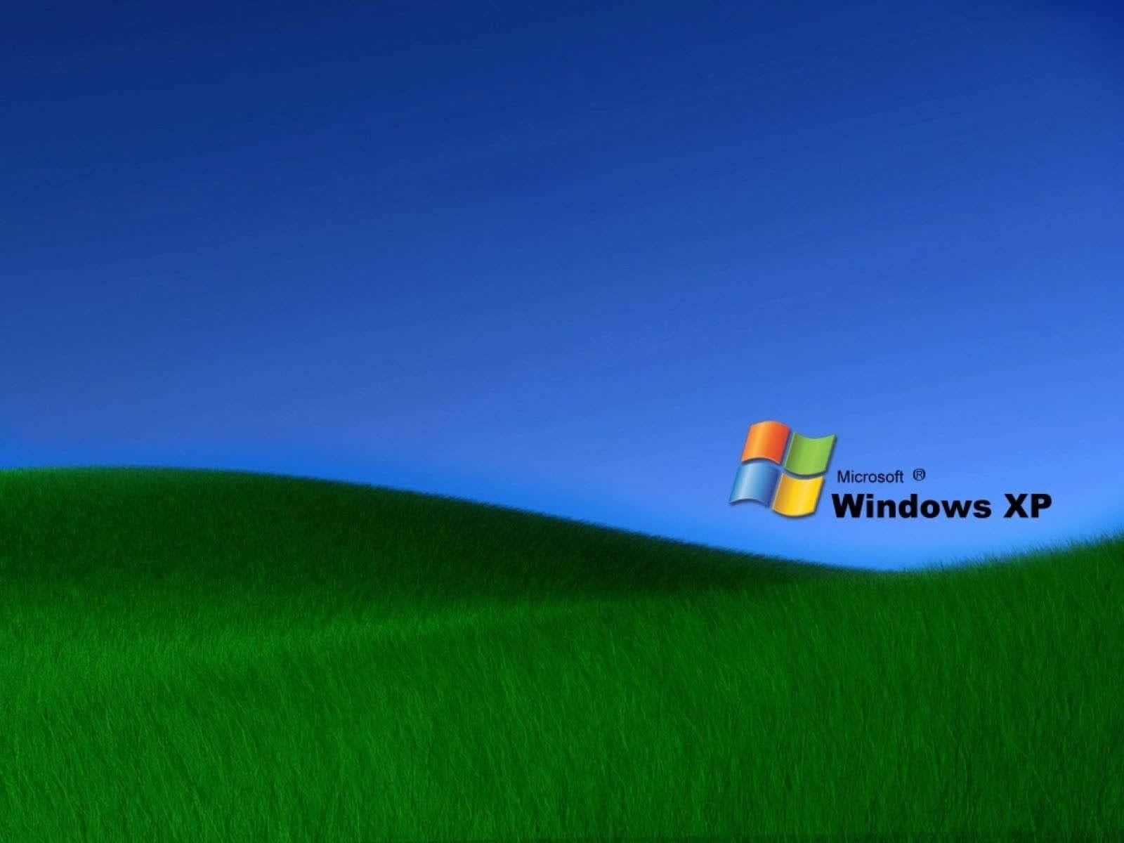 藍天下綠色山丘上的Windows XP標誌