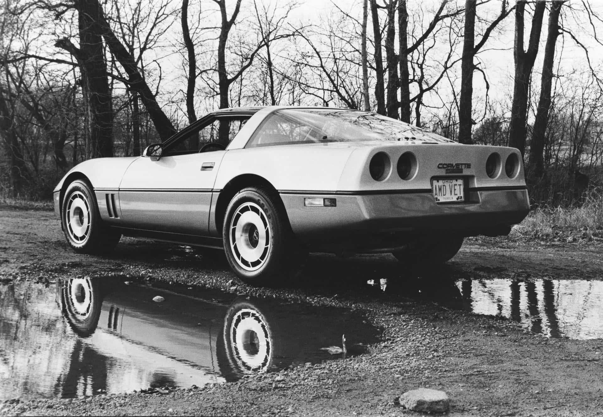 一輛白色Corvette跑車停泊在碎石上，帶有水坑反射和光禿的樹木。