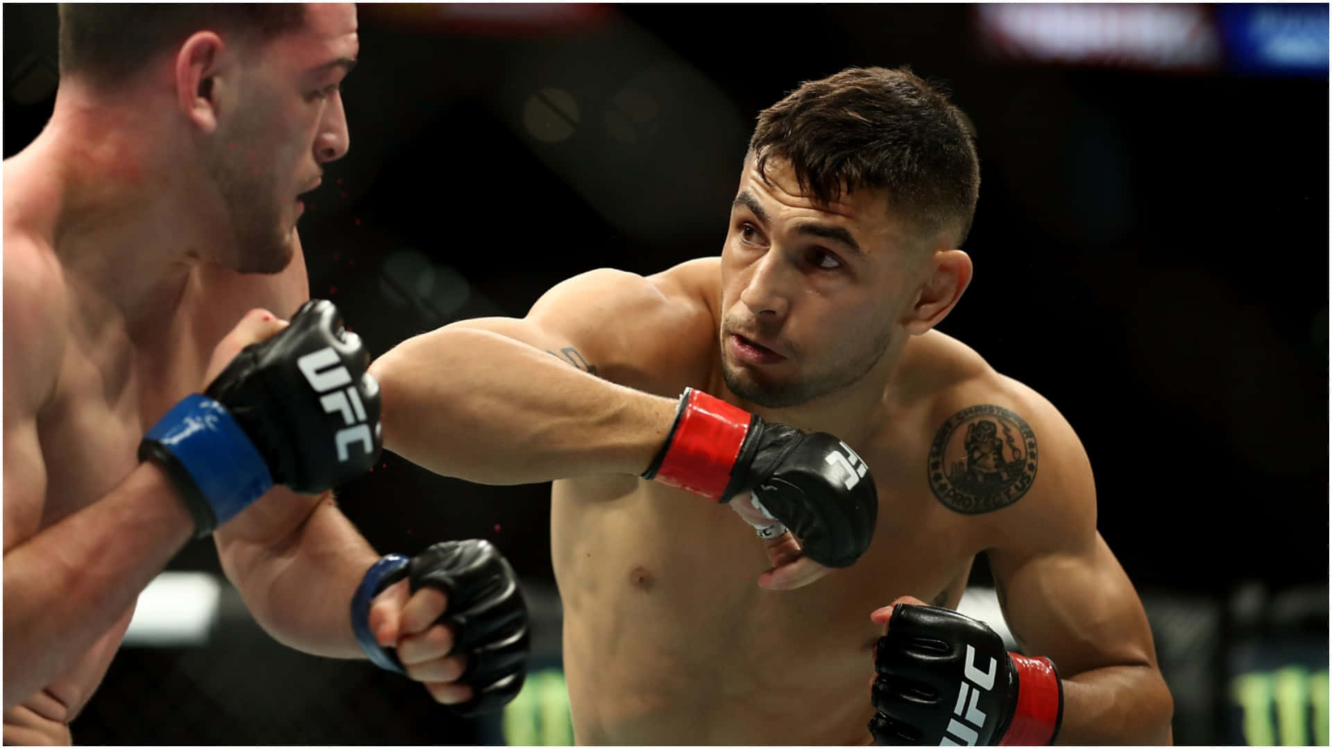 兩名戴著MMA手套的男性拳手在八角籠內互相出拳。