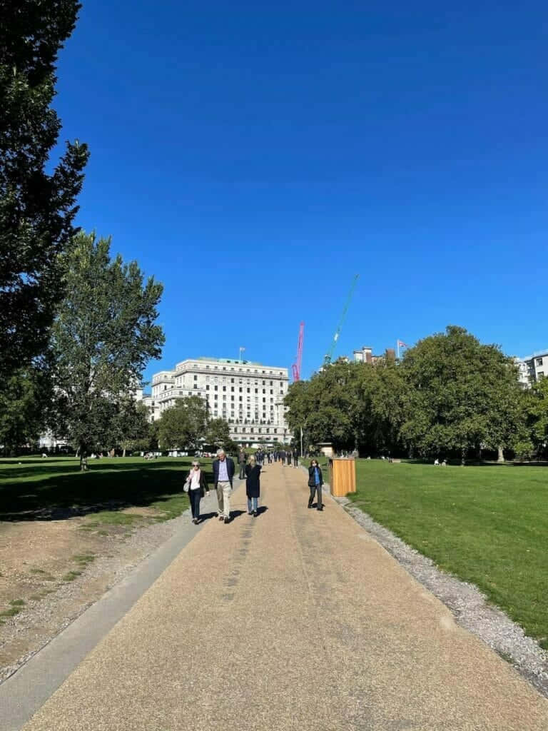 綠園長混凝土路 壁紙 — 人們在陽光照耀的碎石路上漫步，穿過鬱鬱蔥蔥的公園，天空湛藍，遠處可見建築物和起重機。