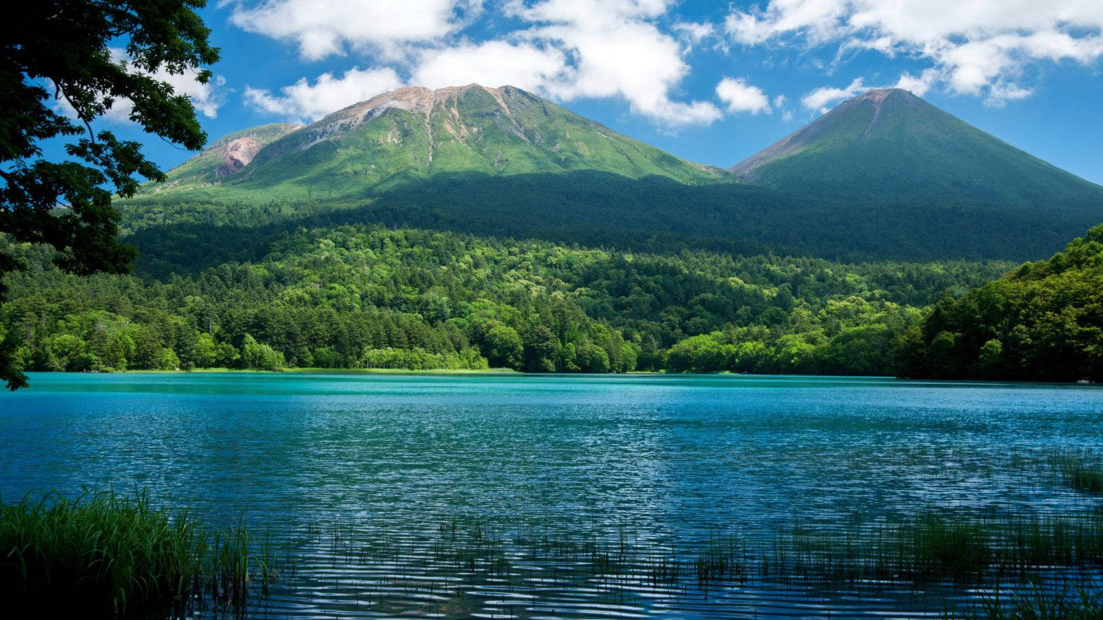 碧綠湖泊被綠色森林和群山環繞，上方是藍天白雲。