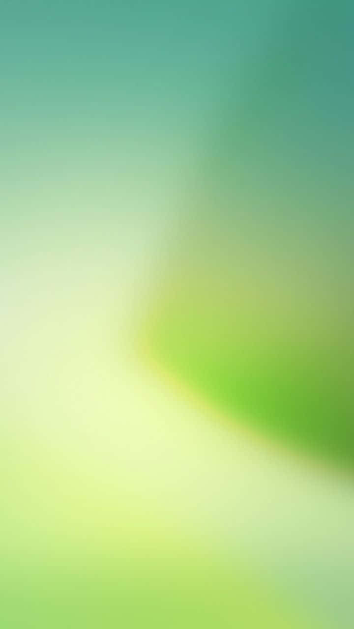 柔和漸變背景，融合薄荷綠和淡黃色調。