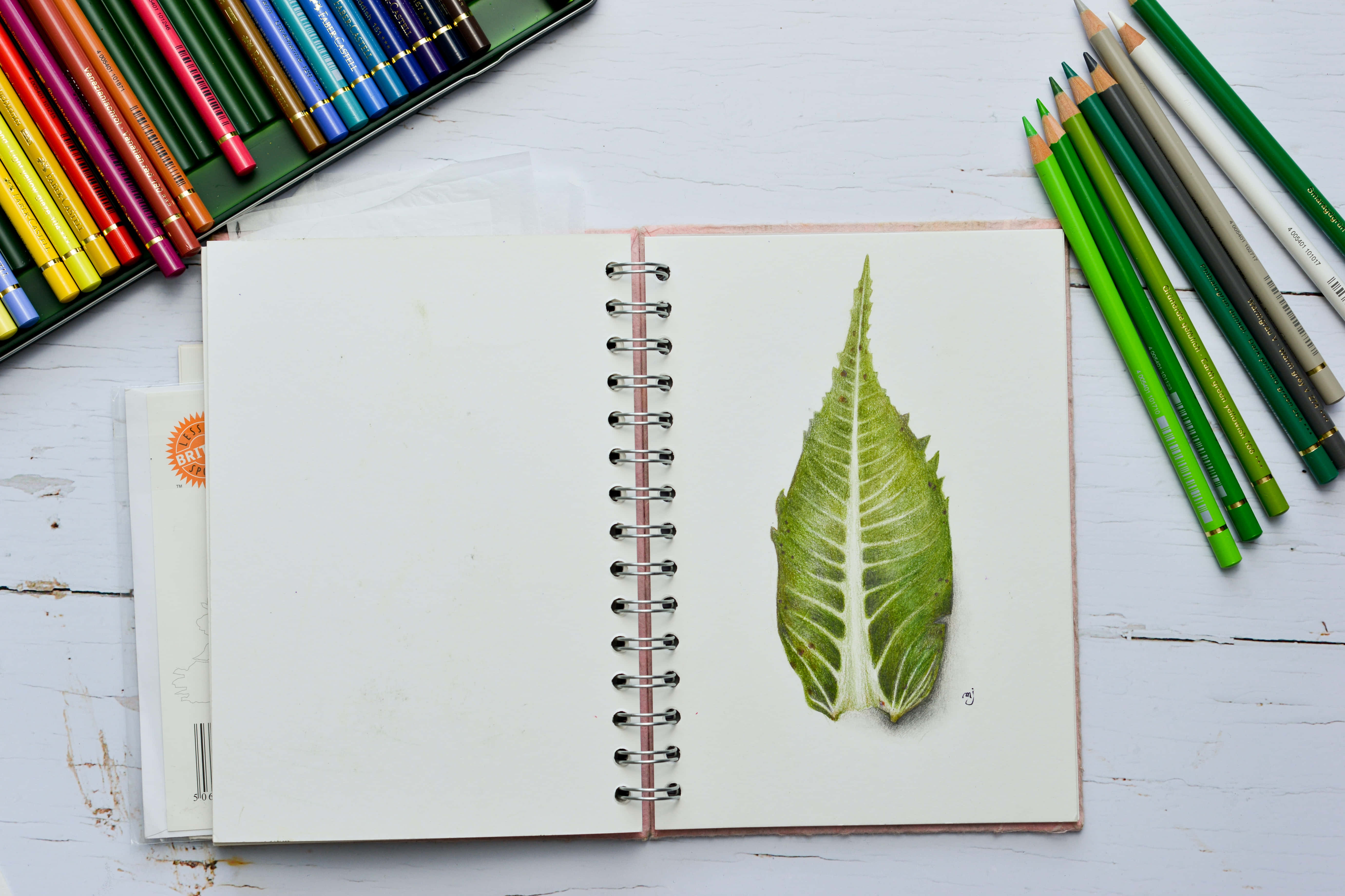 綠意盎然的風景手繪藝術 壁紙 — 一幅詳細的彩色鉛筆畫，描繪白色木質表面上螺旋筆記本中的一片綠色葉子，周圍環繞著美術用品。