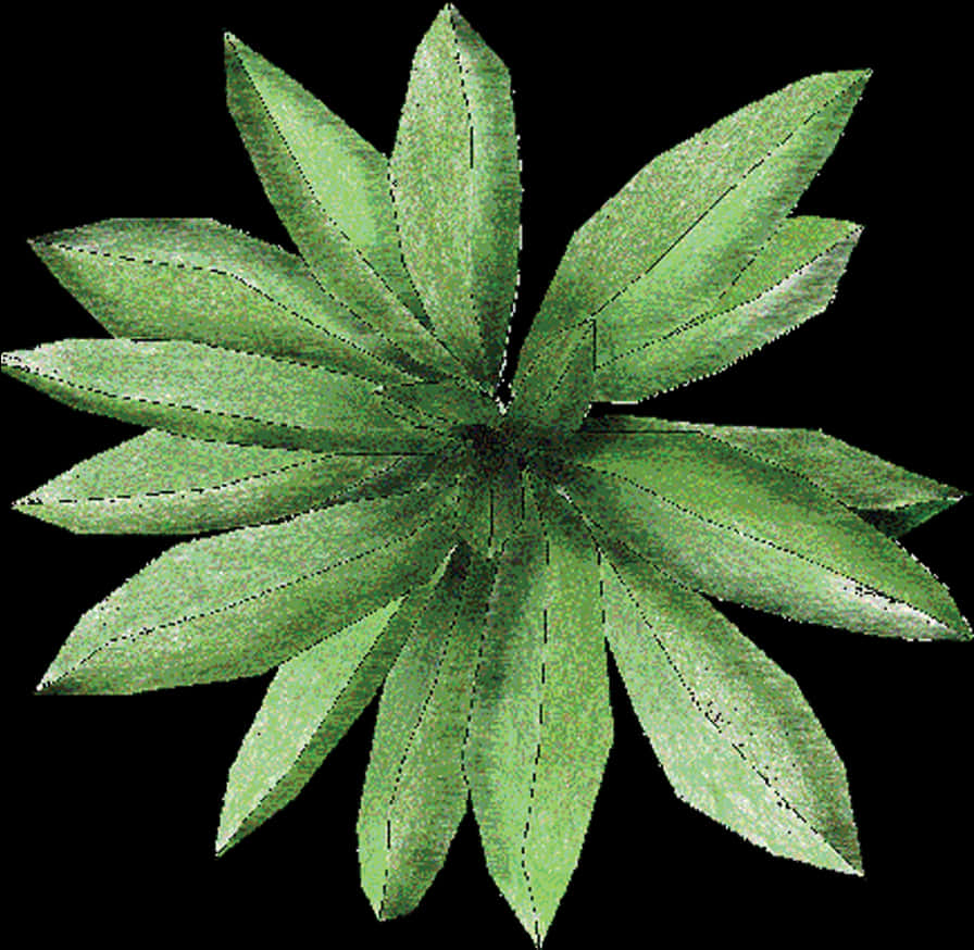 綠植頂視圖 壁紙 — 一株充滿活力的綠色葉狀植物在純黑色背景上以對稱的星爆圖案向外輻射。