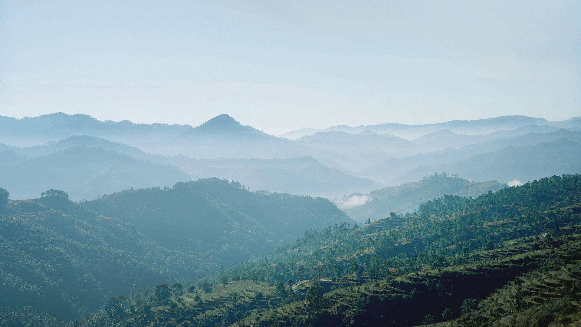 綠樹山脊 壁紙 — 層層疊疊的山脈在蒼白的天空下融入迷霧，前景是梯田狀的斜坡。