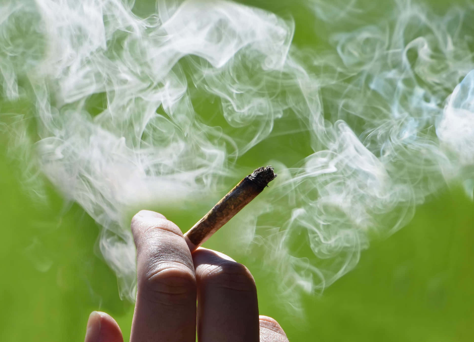 手拿著點燃的大麻煙，煙霧在綠色背景上升起