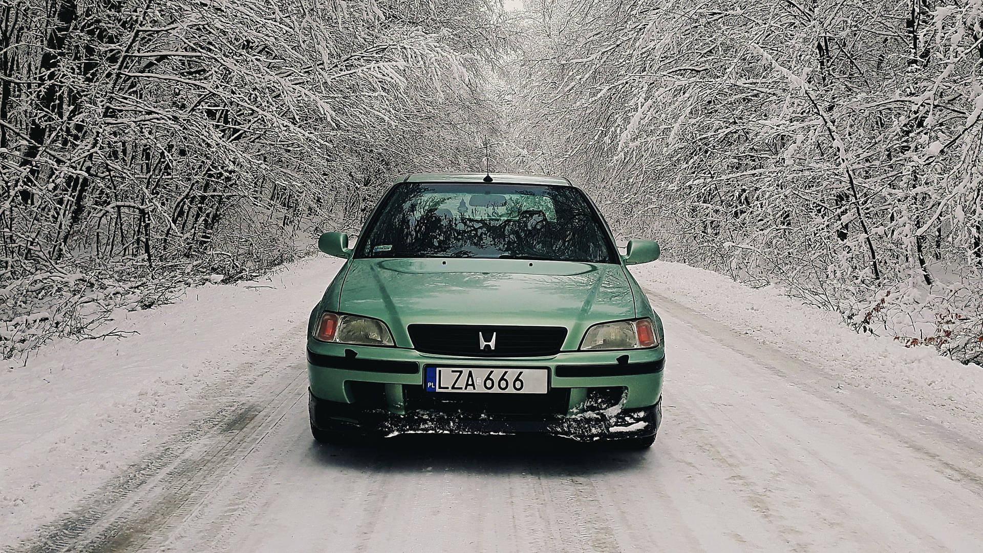 冬季雪地森林道路上的綠色汽車