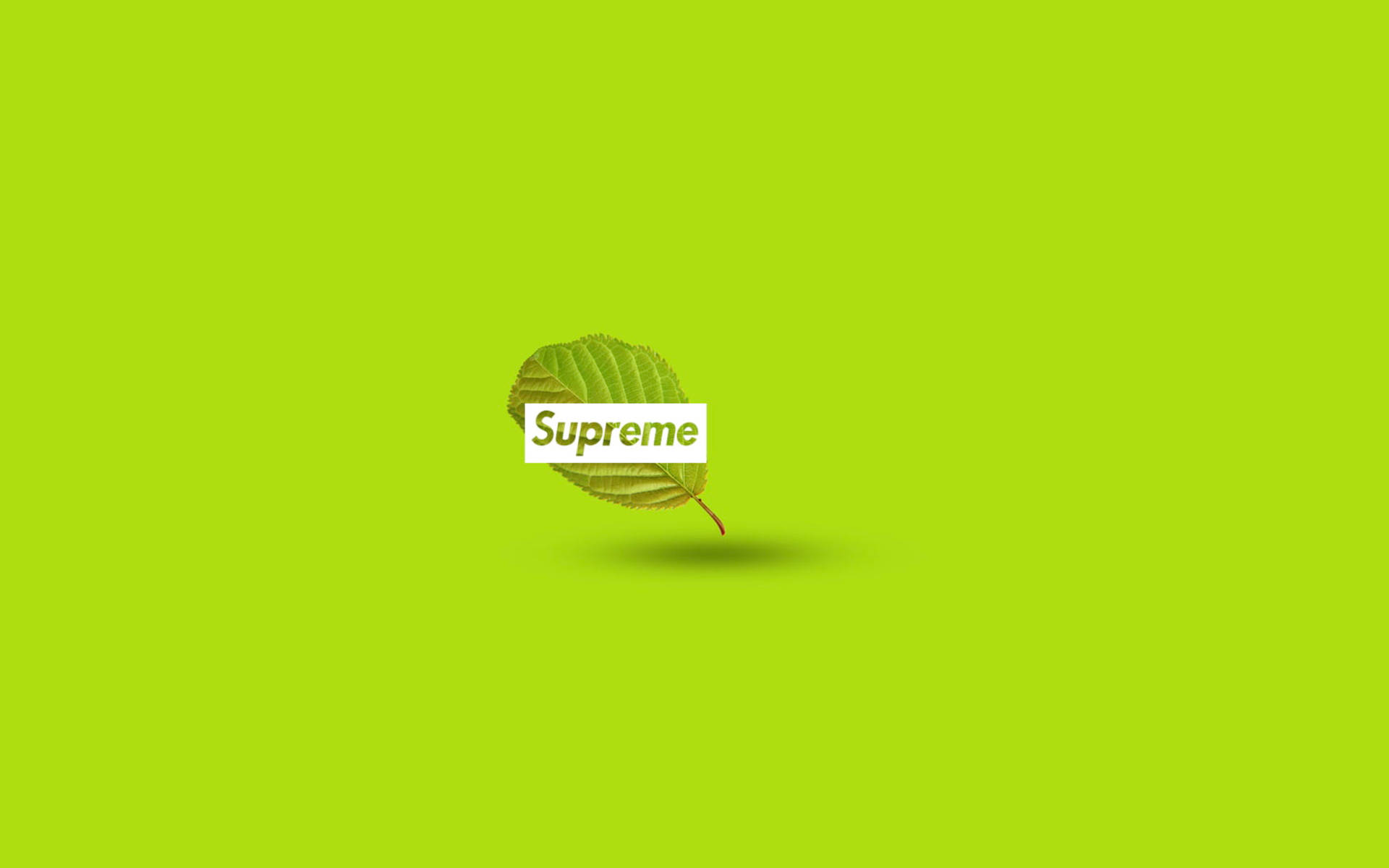 一片綠色葉子，青檸綠色背景上有Supreme標誌