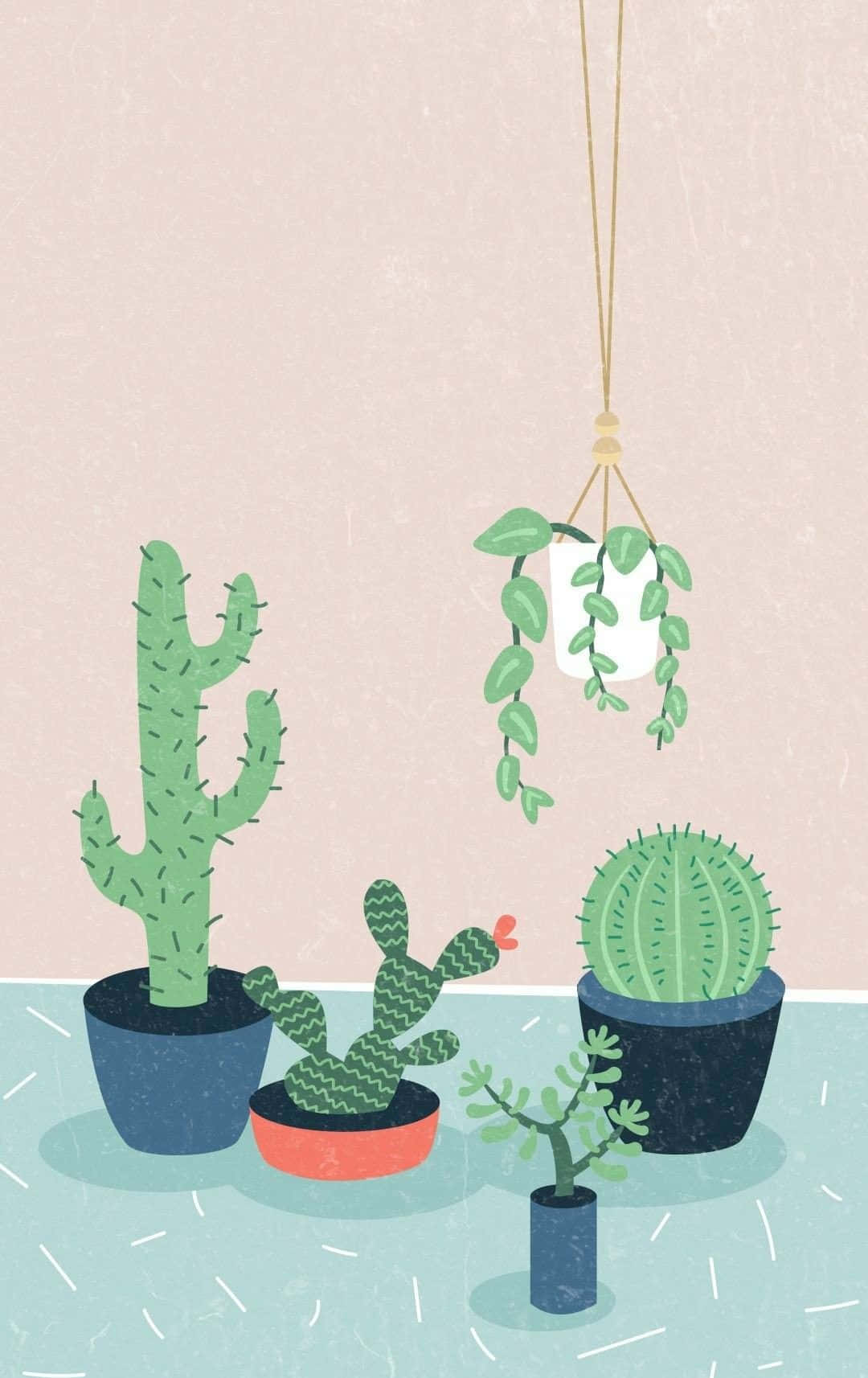 在簡約的室內環境中，盆栽仙人掌和懸掛植物的集合。