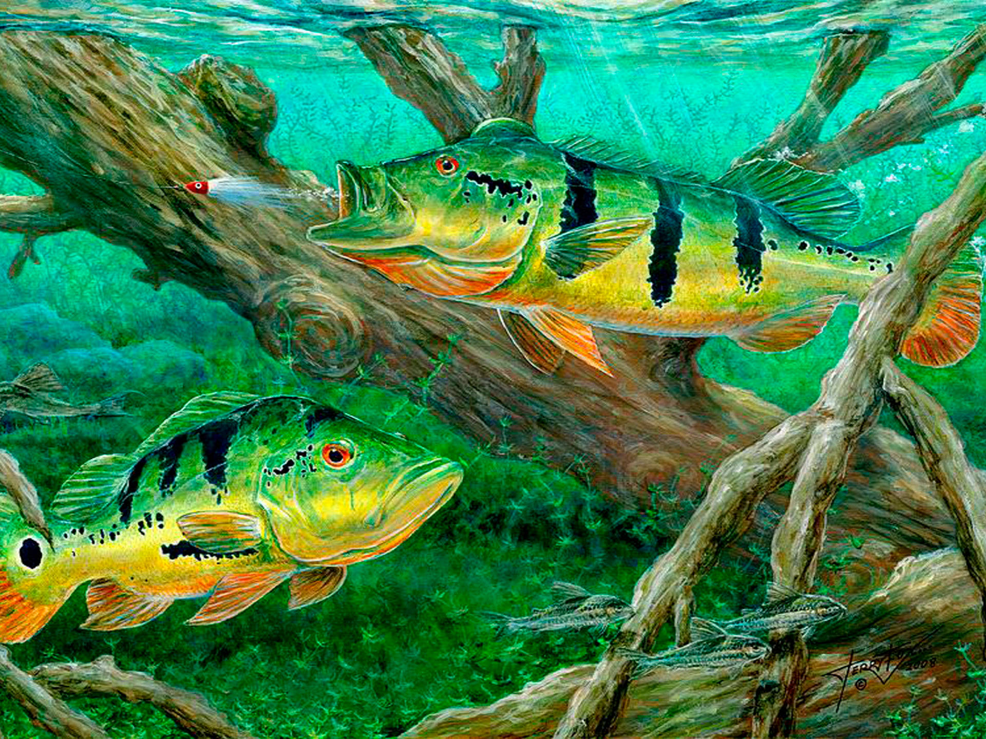 綠色冷酷魚畫作 壁紙 — 色彩鮮豔的繪畫插圖，兩條綠色和橙色的孔雀鱸在清澈碧綠的水中，靠近陽光照射的沉沒圓木游動。