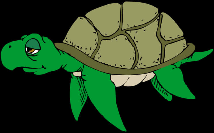 綠色卡通龜插畫 壁紙