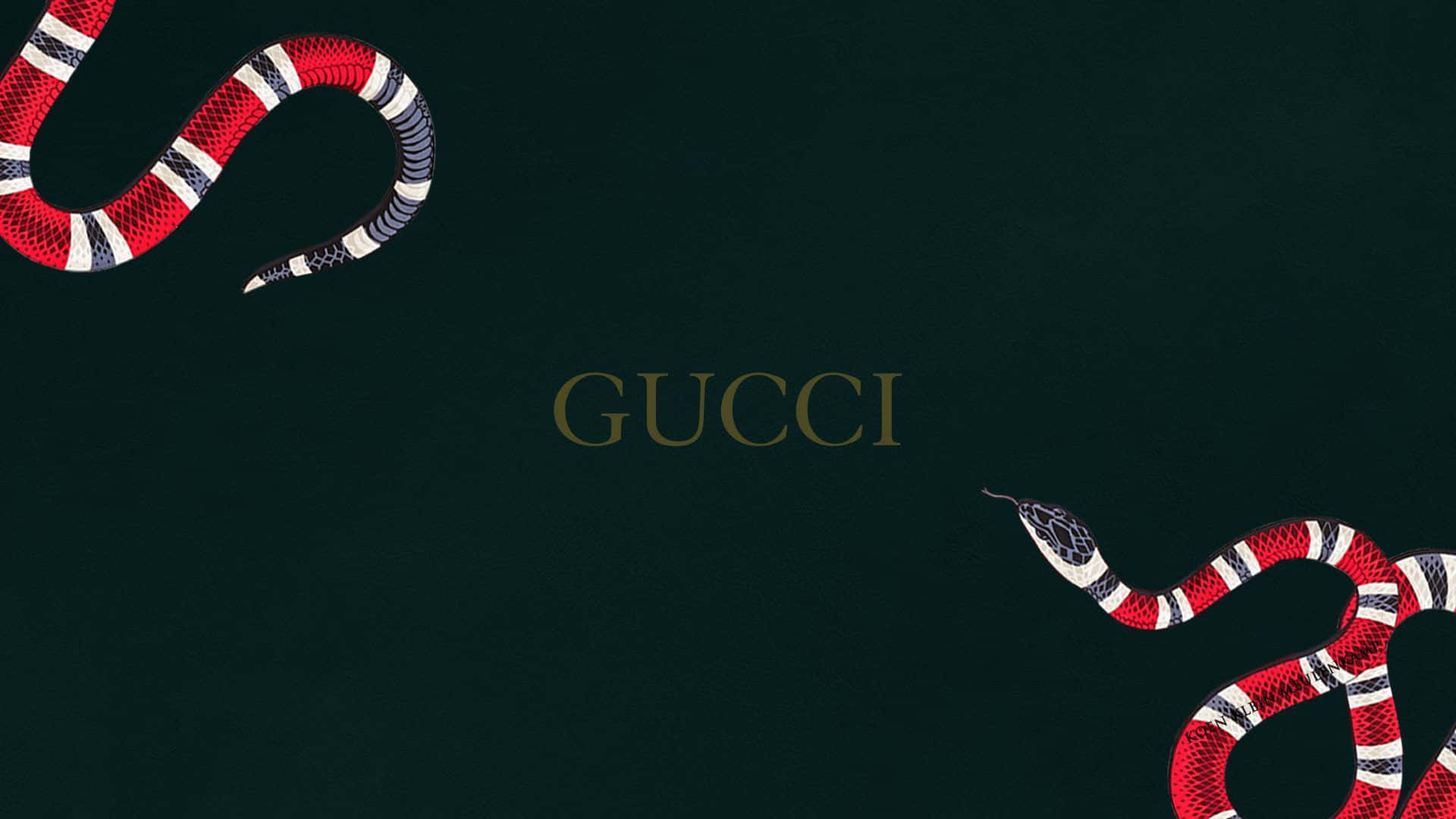 兩條帶圖案的蛇框住Gucci標誌，背景為深綠色。