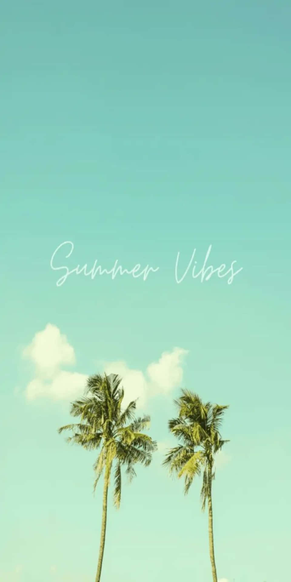 兩棵棕櫚樹在藍綠色天空下，有雲朵和summer vibes文字。