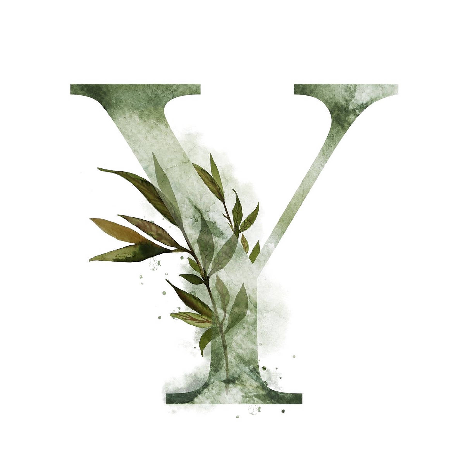 綠色字母Y 壁紙 — 一個水彩字母Y，中間有綠色葉子穿過，背景為白色。